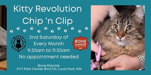 Kitty Revolution Chip \u2018n Clip
