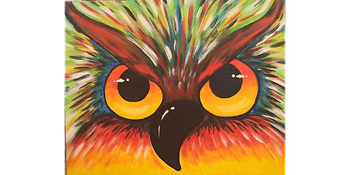 Colorful Owl - Paint and Sip in Chicago | Classpop!\u2122
