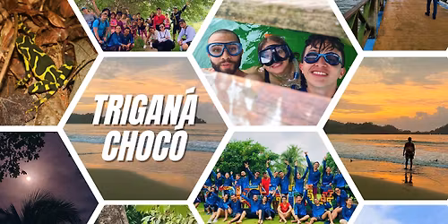 Trigan\u00e1, un para\u00edso entre selva y mar