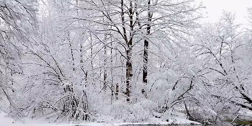 Discover KNC Guided Hike