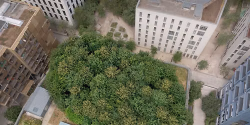 "La ville est un jardin. Pourquoi le v\u00e9g\u00e9tal va nous sauver" par J-F GHEYSEN