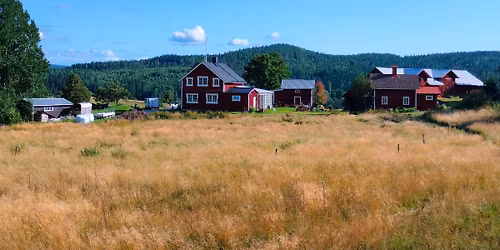 A small, supportive retreat in nature