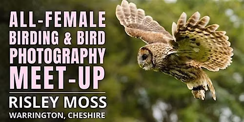 All-Female Birding & Bird Photography Morning