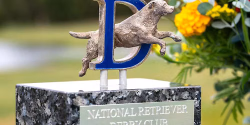 10th Anniversary 2026 National Derby Championship