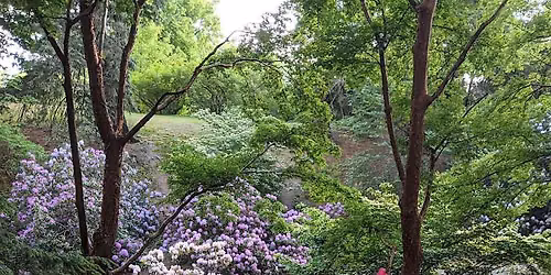Summer Gardens & Lamberton Conservatory: A Guided Tour of Highland Park