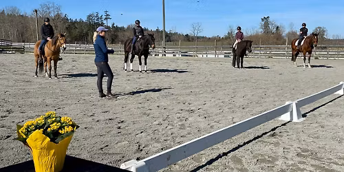 Dressage Naturally Lesson Day - With Michelle Young