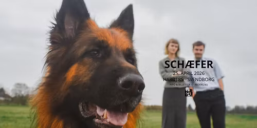 Sch\u00e6fer \/\/ Harders