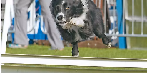 moonlight winter series 