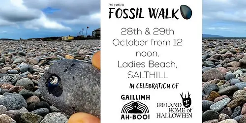 FOSSIL WALKS in SALTHILL