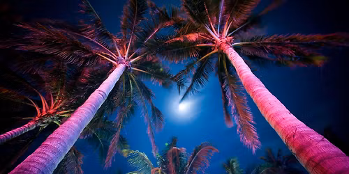 Endless Summer Neon Nights: Pool Parties