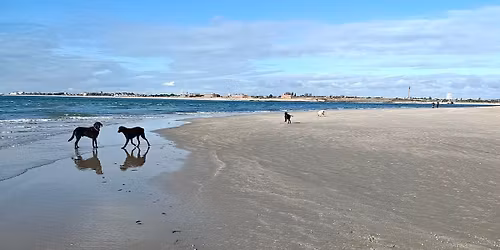 Festive Walk Hayling Island 