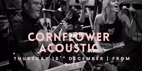 Cornflower Acoustic