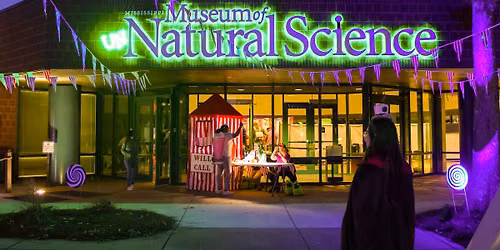 Park After Dark