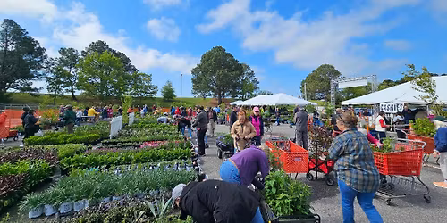 Spring Plant Sale