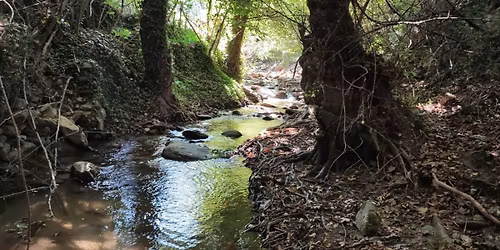 28\/2\/2026 \u039a\u0391\u03a0\u039d\u039f\u03a6\u03a5\u03a4\u039f - \u039a\u0391\u03a4\u0391\u03a1\u03a1\u0391\u039a\u03a4\u0397\u03a3 \u039a\u0391\u03a0\u039d\u039f\u03a6\u03a5\u03a4\u039f\u03a5