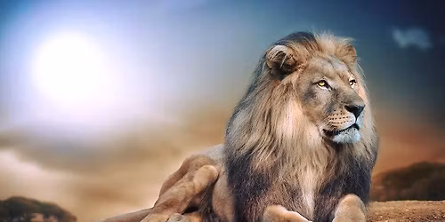 26 Club Raffle Drawings 