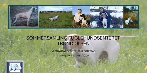 SOMMERSAMLING P\u00c5 FUGLEHUNDSENTERET - TROND OLSEN