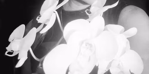 Ve\u010der se zp\u011bva\u010dkou Viktorii