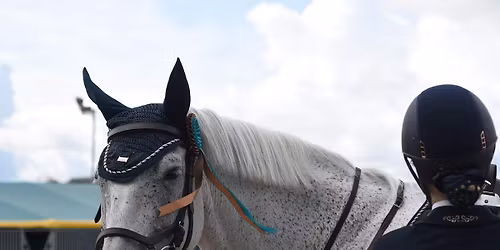 Christmas Assisted Clear Round Showjumping