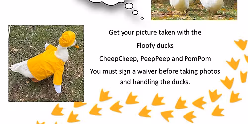 Duck Day 2