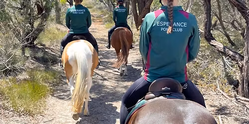 Andrew Forbes Clinic