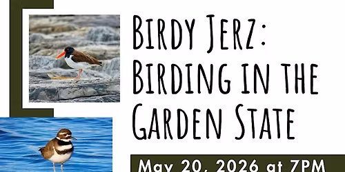 Birdy Jerz: Birding in the Garden State