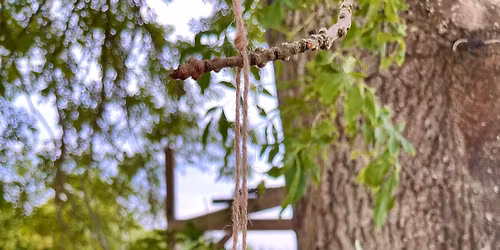 Needle Felted Hanging Robin Workshop - Sakura Studio Gallery - Stonham Barns