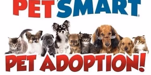 Adoption Event \ud83d\udc36 December 20th 130-430pm \ud83d\udc3e Northville PetSmart