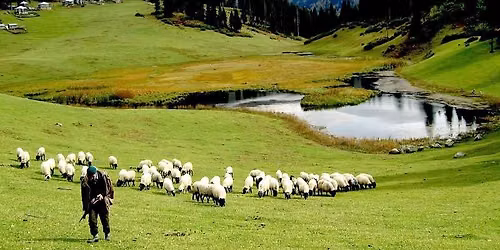 ORDU G\u0130RESUN YAYLALAR 