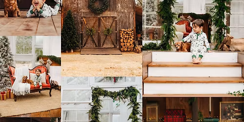 Barn & Gilded Glasshouse Minis