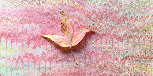 Marbling on Paper: a Northwind Art workshop