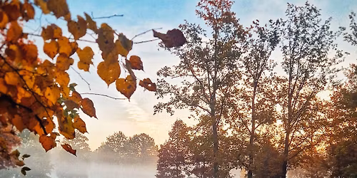 B\u011bhuzdarova listopadov\u00e1 v\u00fdzva vol.7