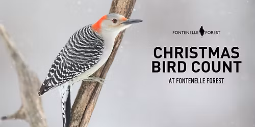 Christmas Bird Count