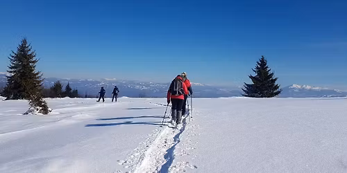 Guided Snowshoeing in Carpathian Mountains Wonderland