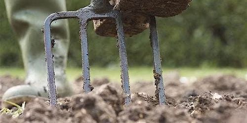 Preparing the Ground \u2013 Gardening Workshop
