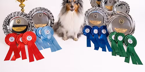 DD zkou\u0161ky s J\u010cT - v Bavorov\u011b v\u0161echny stupn\u011b bez DwD2,3