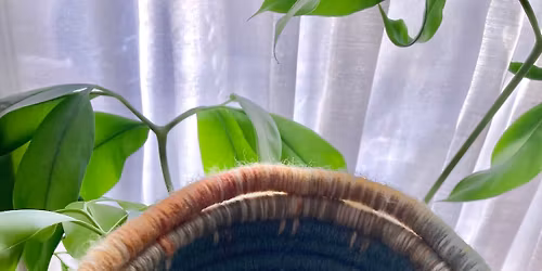 Coil Basket Weaving 101