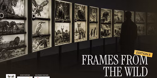 Frames From The Wild - Edition II