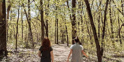 Forest Bathing