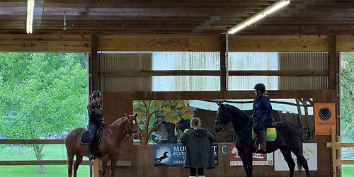 Pole Work and Jumping Exercises for the Dressage Horse with Sarah Falk