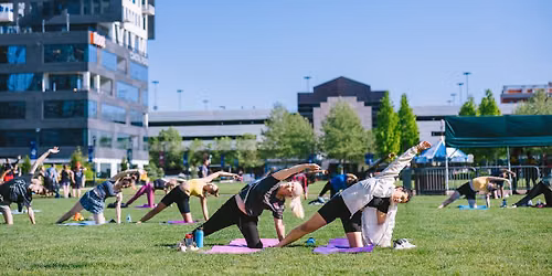 Free Fitness Yoga Class: Wednesdays at 5:30pm