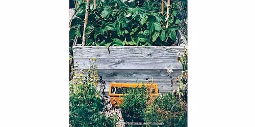 Frederick County Master Gardeners: Container Gardening with Native Plants