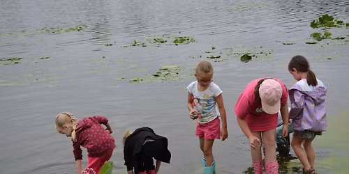 Nature Explorers #1: Wetlands & Watercolors