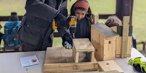Make a bird box with Frome Wild Bunch