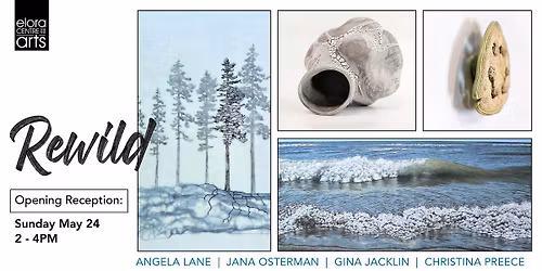 Meet the Artists of the 'ReWild' exhibition (free event)