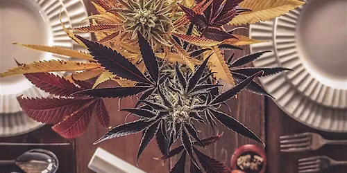 Vitabudz Annual Budzgiving