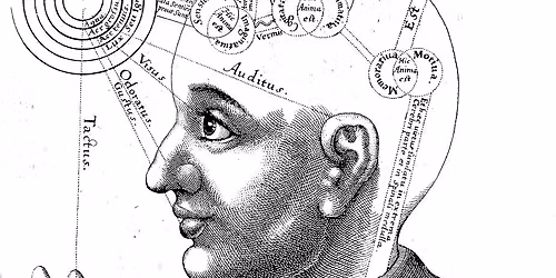 On Further Thought: Consciousness