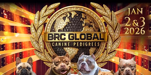 BRC Global Award Ceremony Show