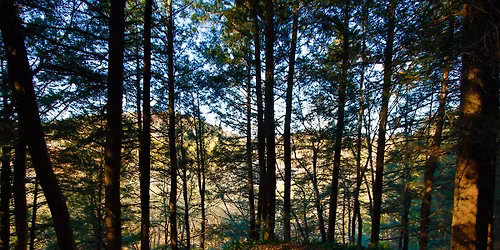 Saltpetre Cave Hike
