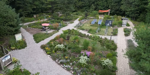 Weeding Wednesdays @ Leo Creek Preserve
